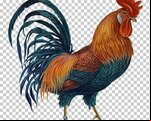 Red_Rooster